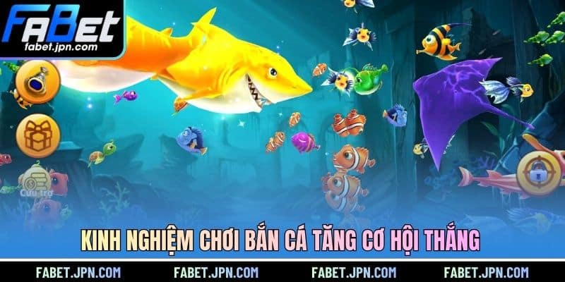Kinh nghiệm chơi bắn cá tăng cơ hội thắng