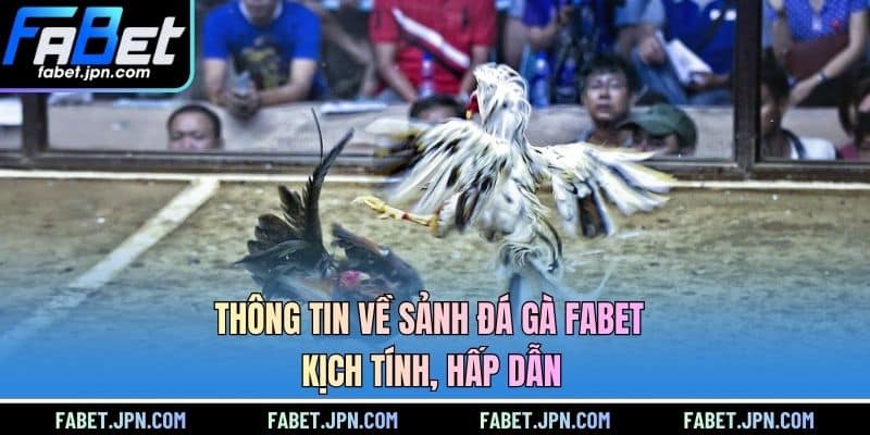 Thông tin về sảnh đá gà FABET kịch tính, hấp dẫn